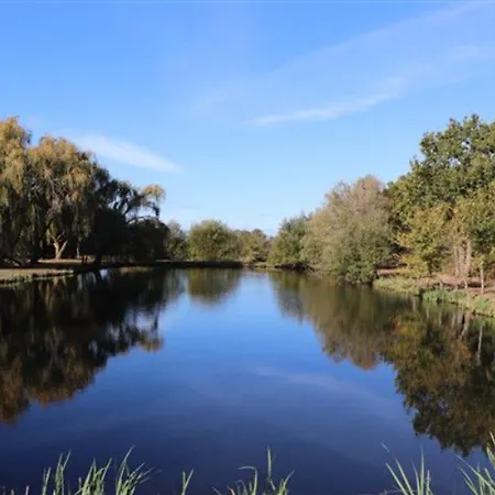 Camping Mobil-home Avec Terrasse - 2 A - Api-1-52-300 *